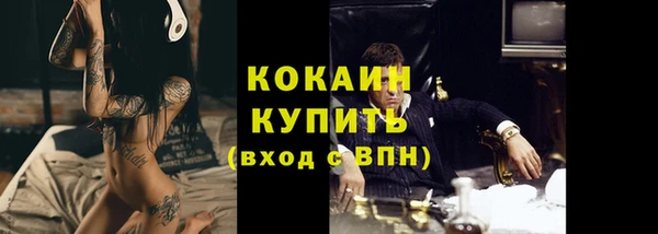 молекула духа Богданович
