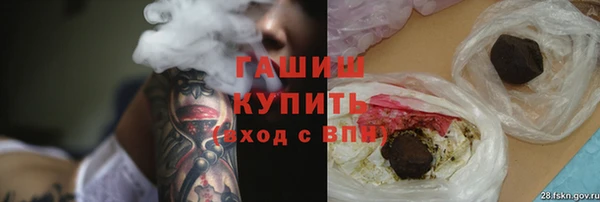 прущие грибы Белокуриха