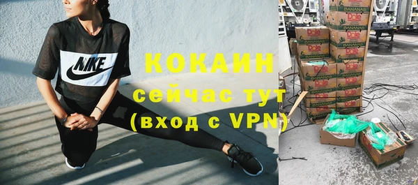 прущие грибы Белокуриха