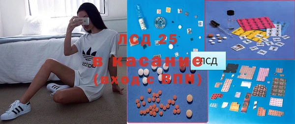 прущие грибы Белокуриха