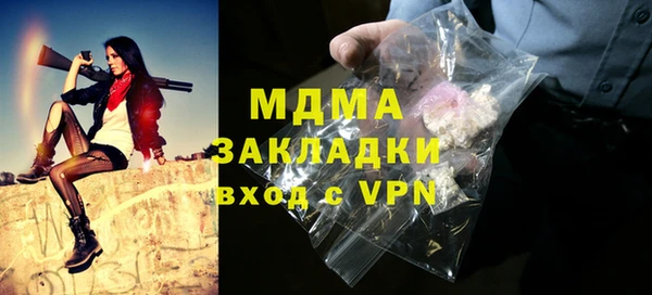 молекула духа Богданович