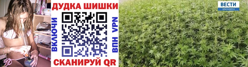 Шишки марихуана гибрид  Кондрово 